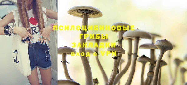 PSILOCYBIN Бородино