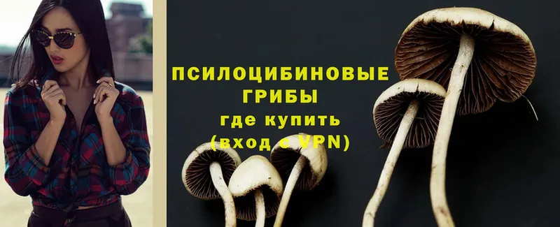 наркошоп  Вышний Волочёк  мега tor  Галлюциногенные грибы Magic Shrooms 